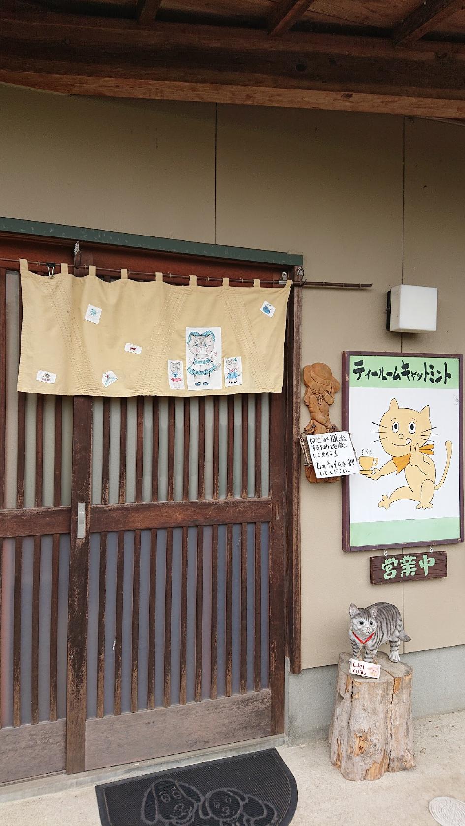 Google の写真
