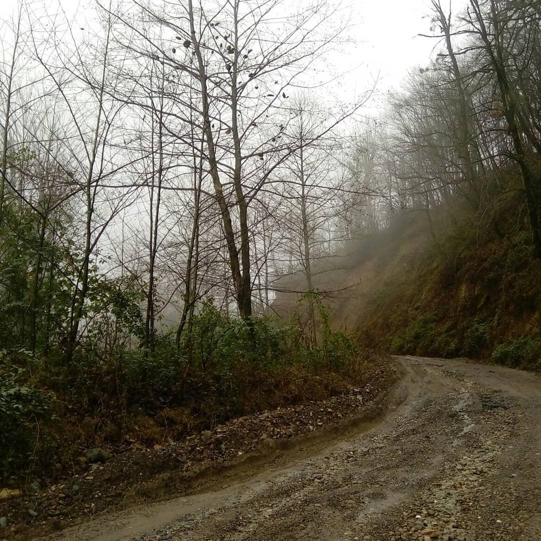 Photo from Google