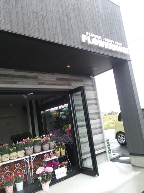 Google の写真