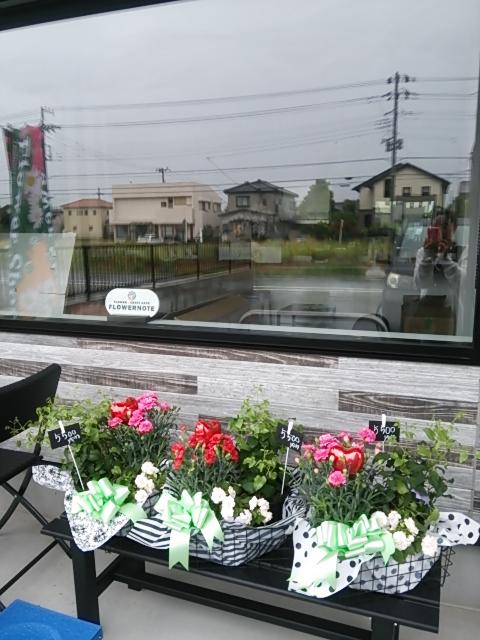 Google の写真