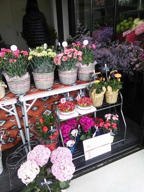 Google の写真