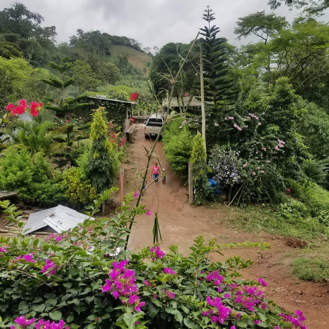 Photo from Google
