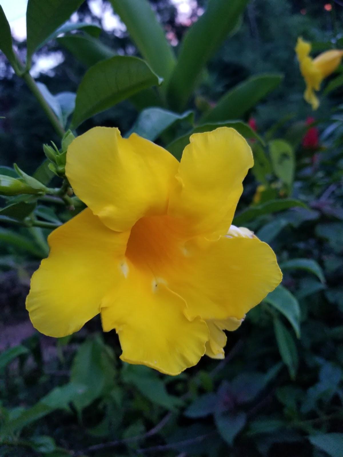 Photo from Google