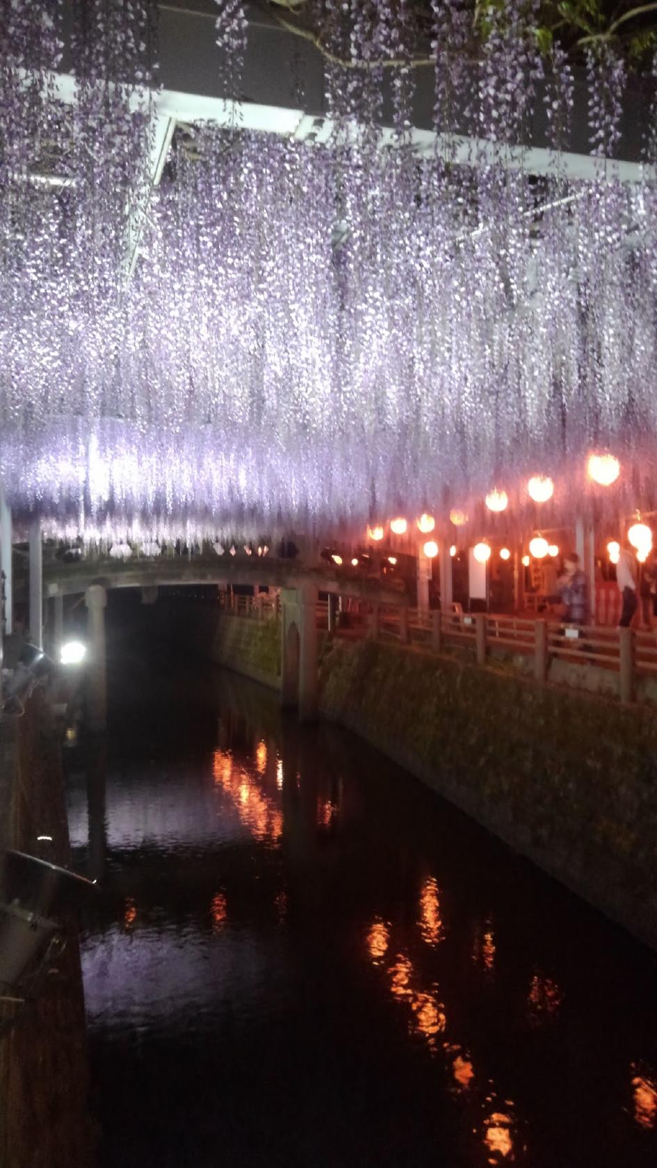 Google の写真