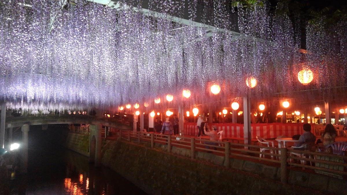 Google の写真