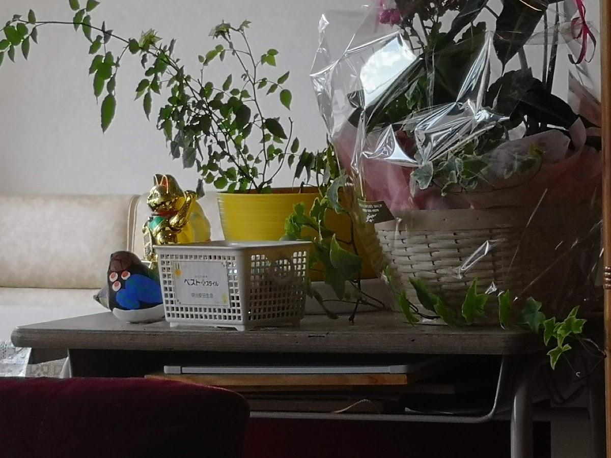 Google の写真