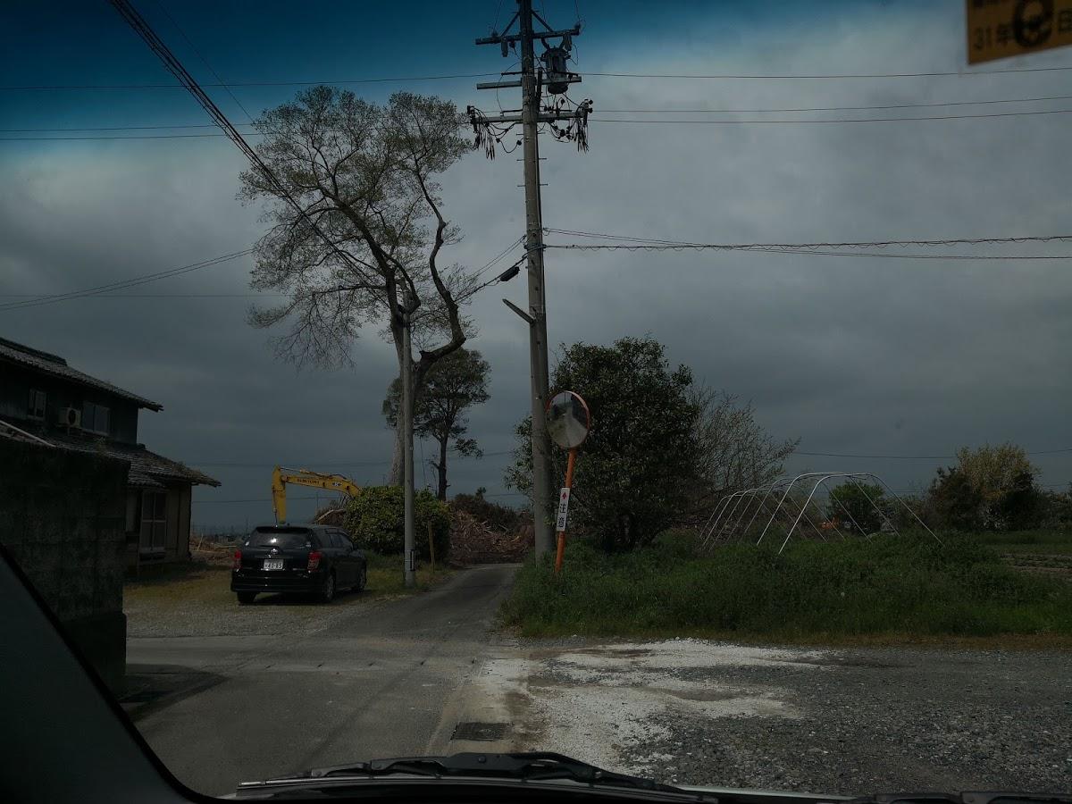 Google の写真