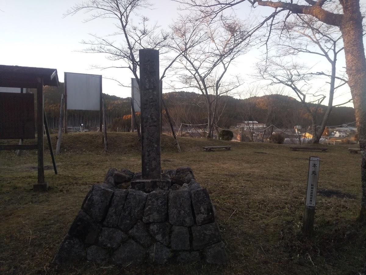Google の写真