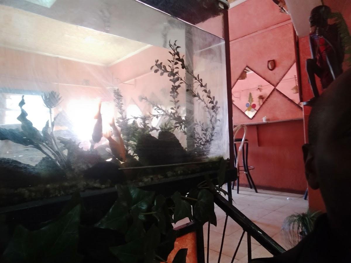 Photo from Google