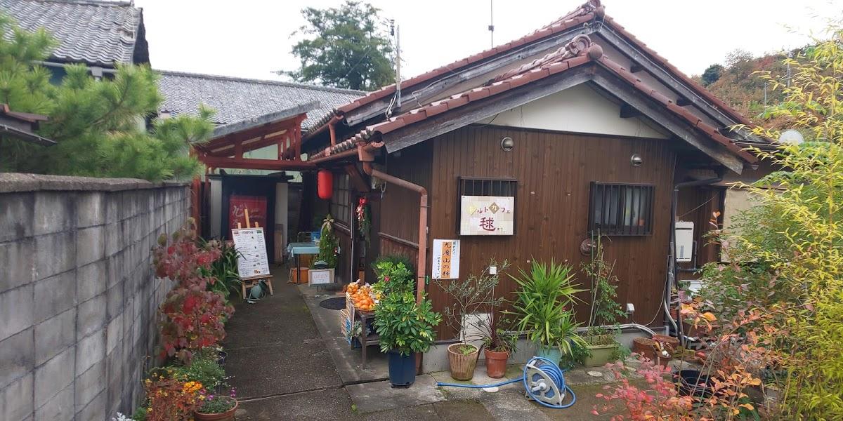 Google の写真