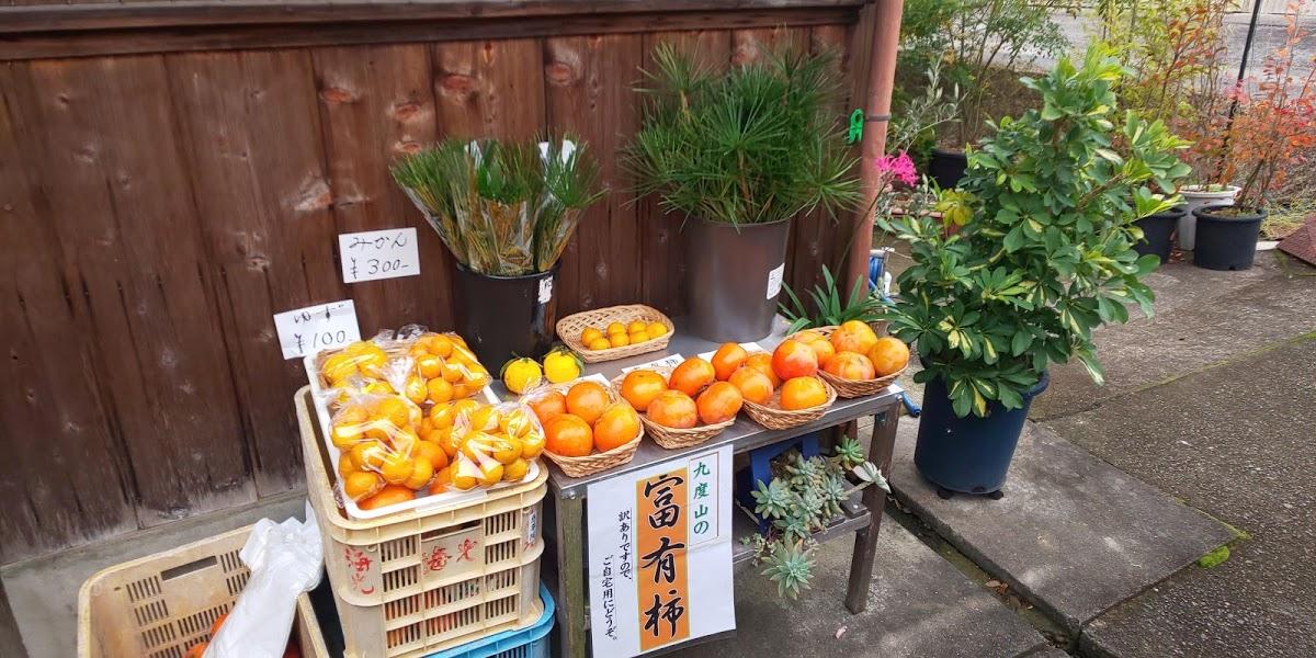 Google の写真
