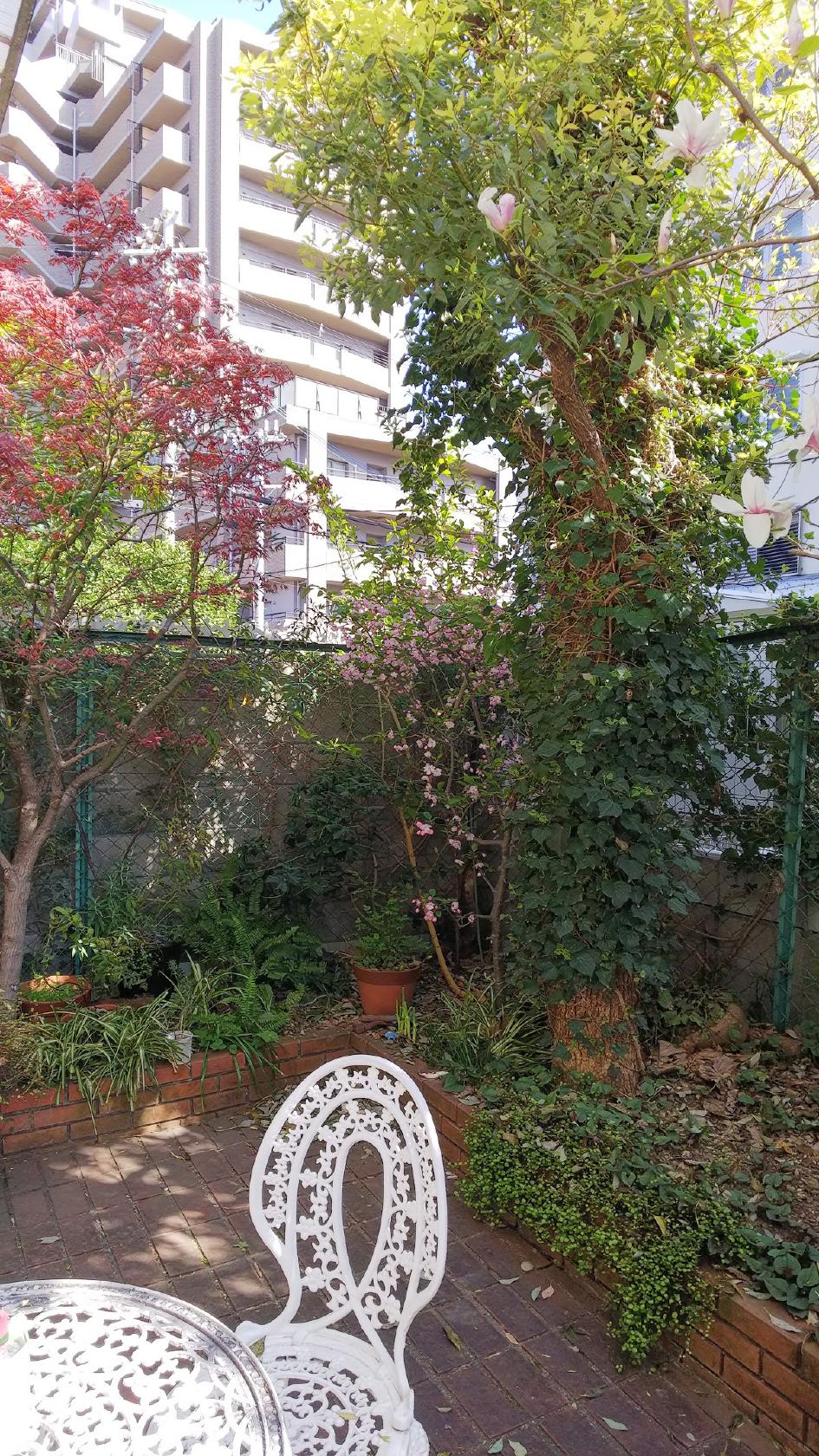 Google の写真