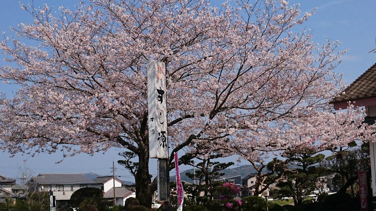 Google の写真