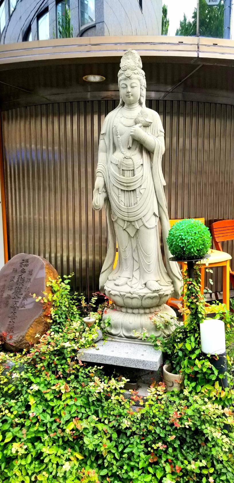 Google の写真