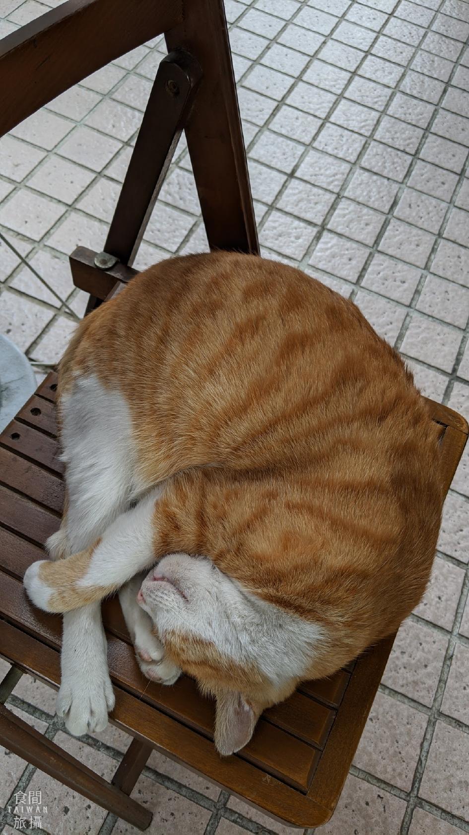 Google の写真