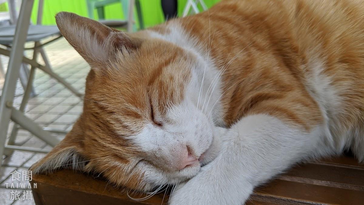 Google の写真