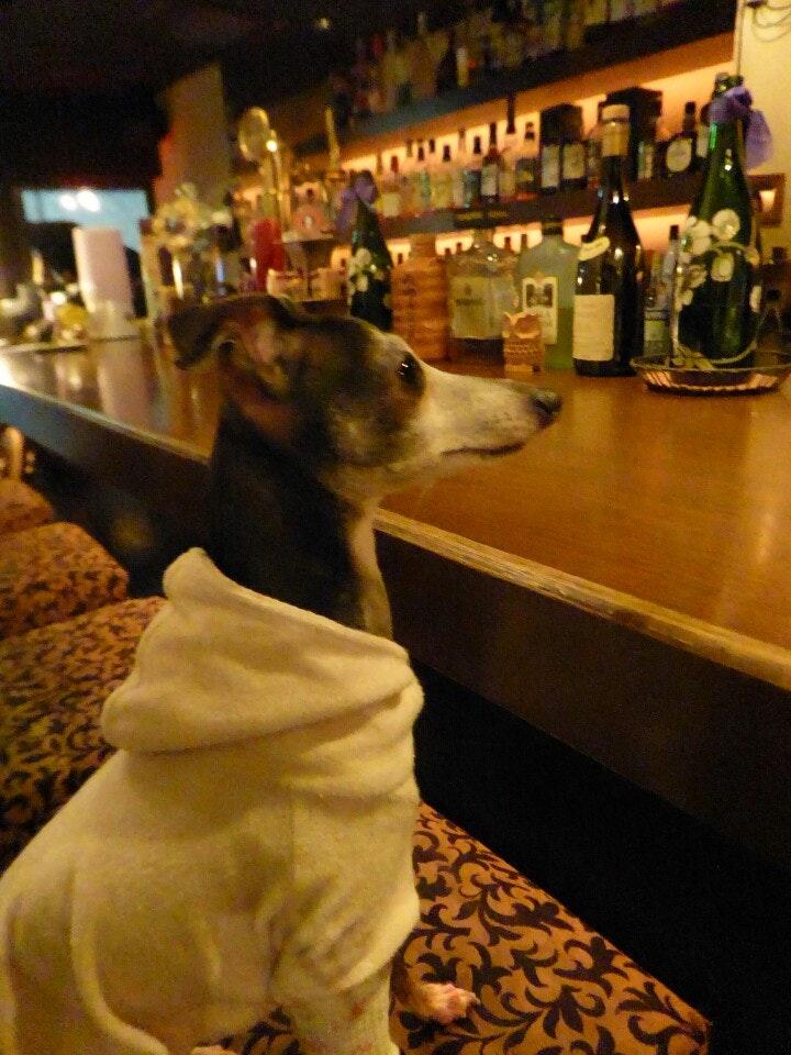 Foursquare の写真