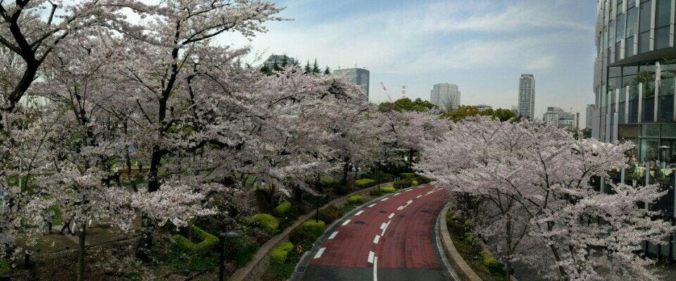 Foursquare の写真