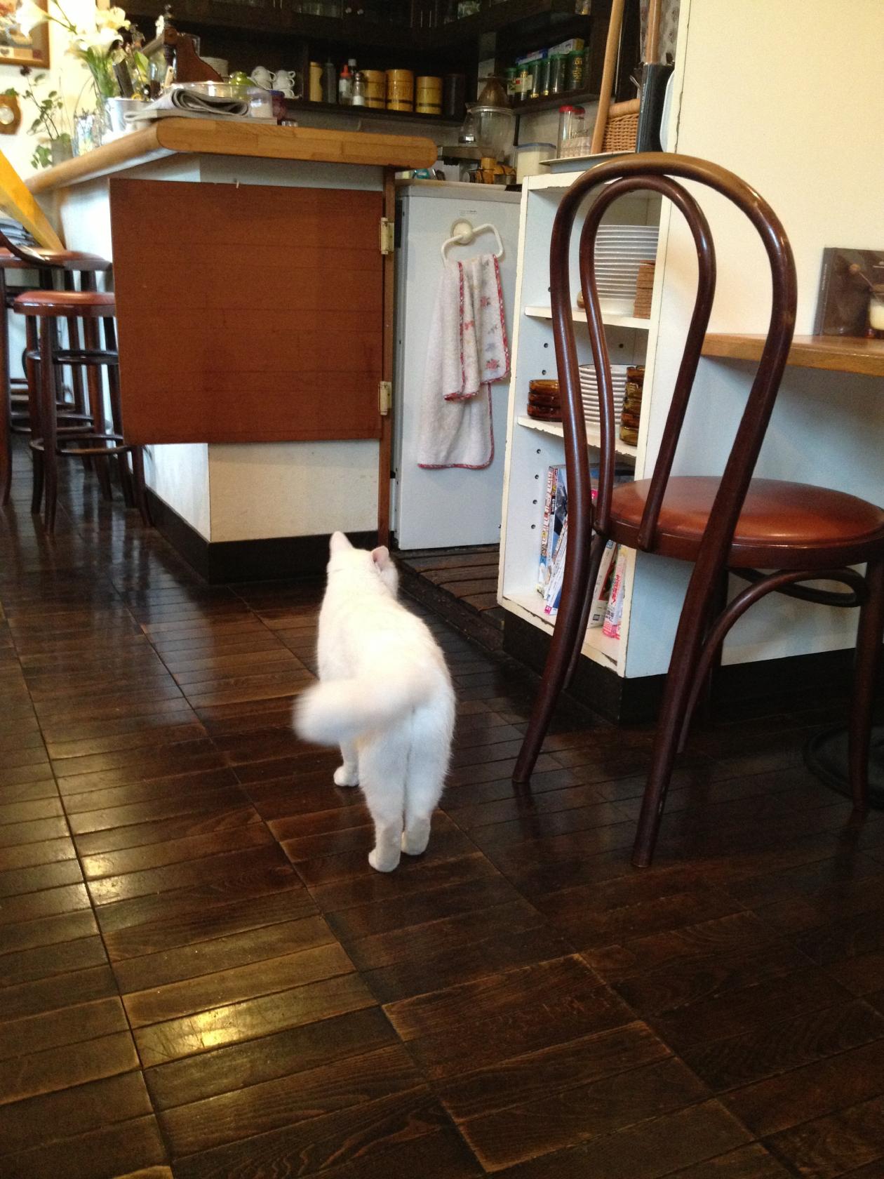 Foursquare の写真