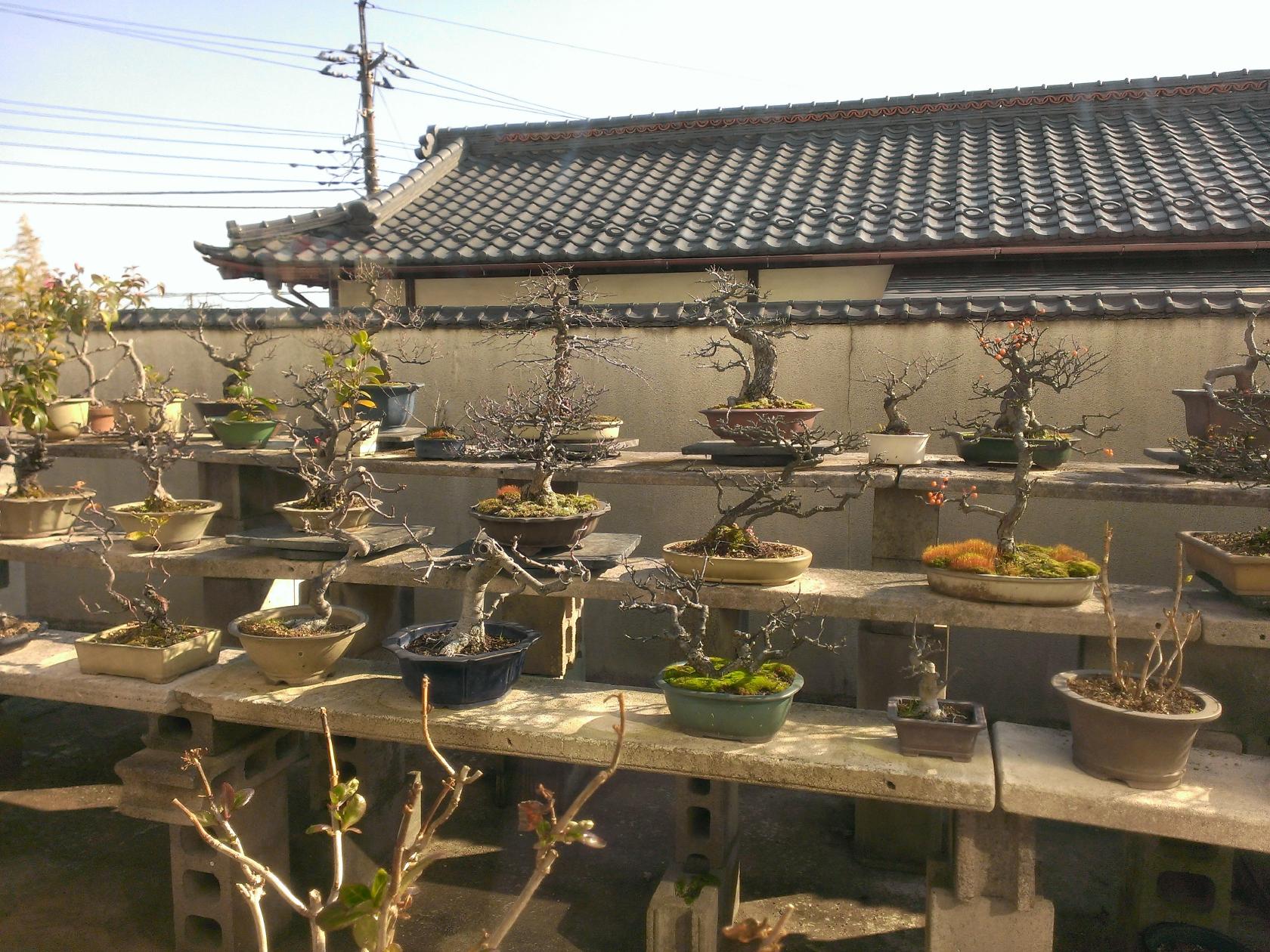 Foursquare の写真
