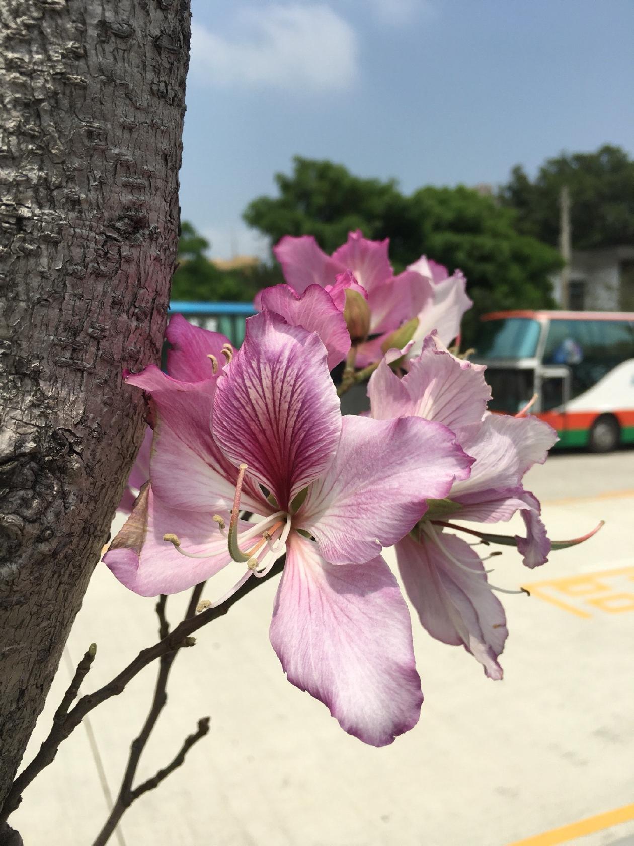 Foursquare の写真