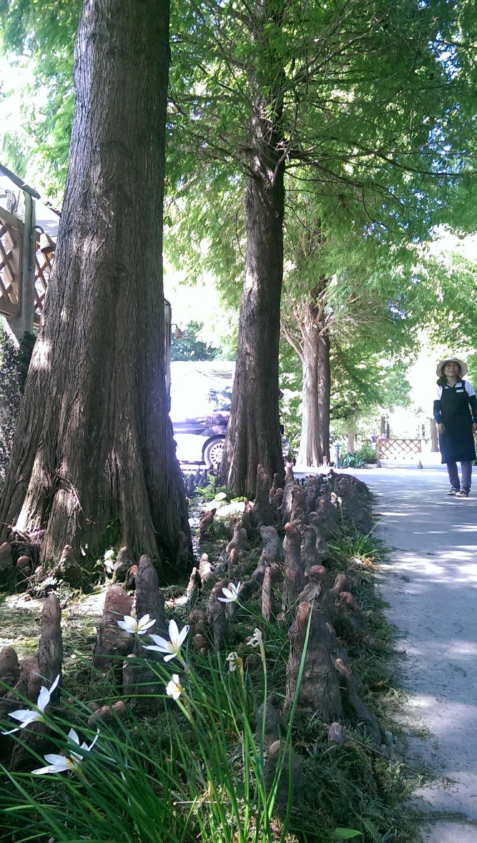 Foursquare の写真