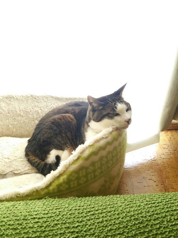 Foursquare の写真