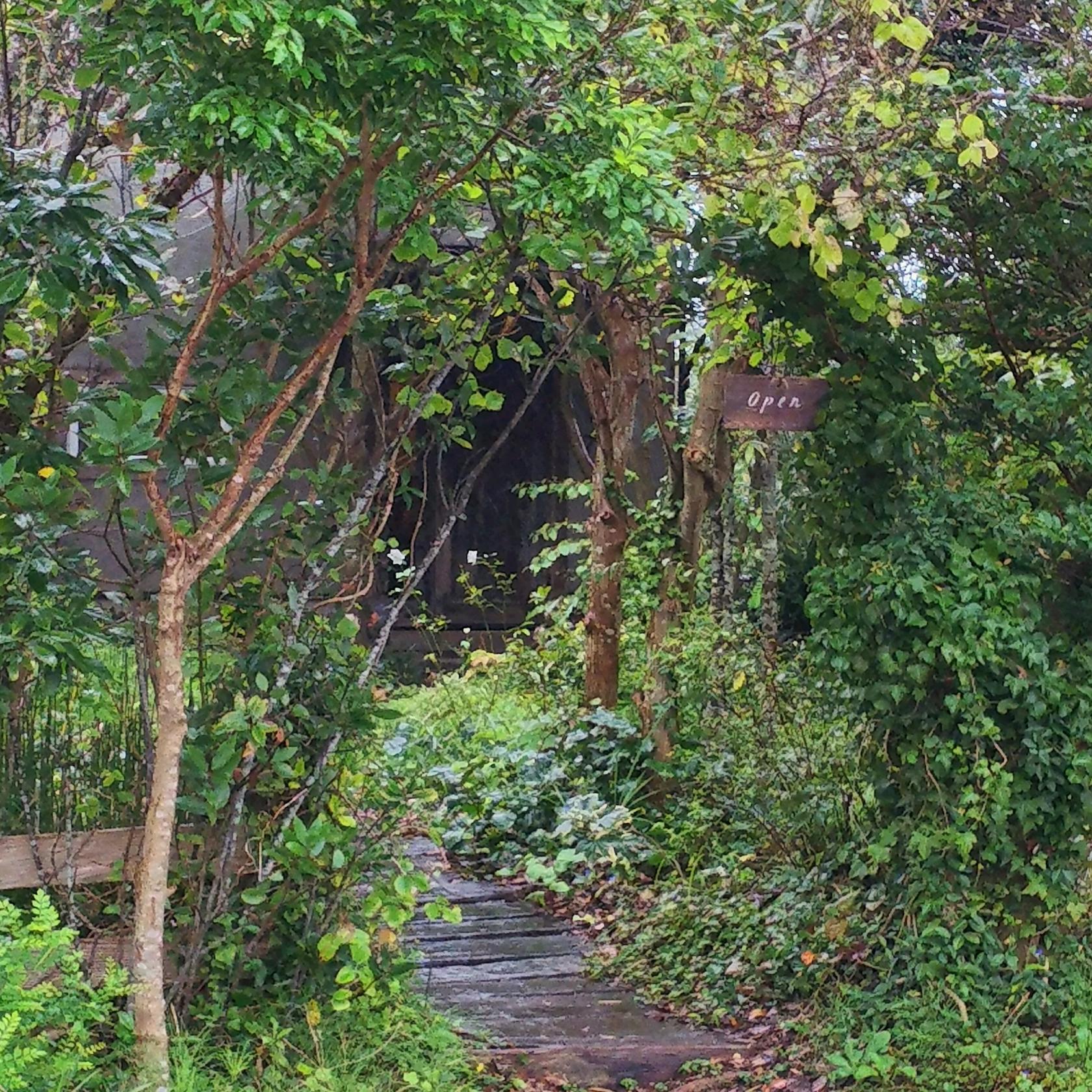Foursquare の写真