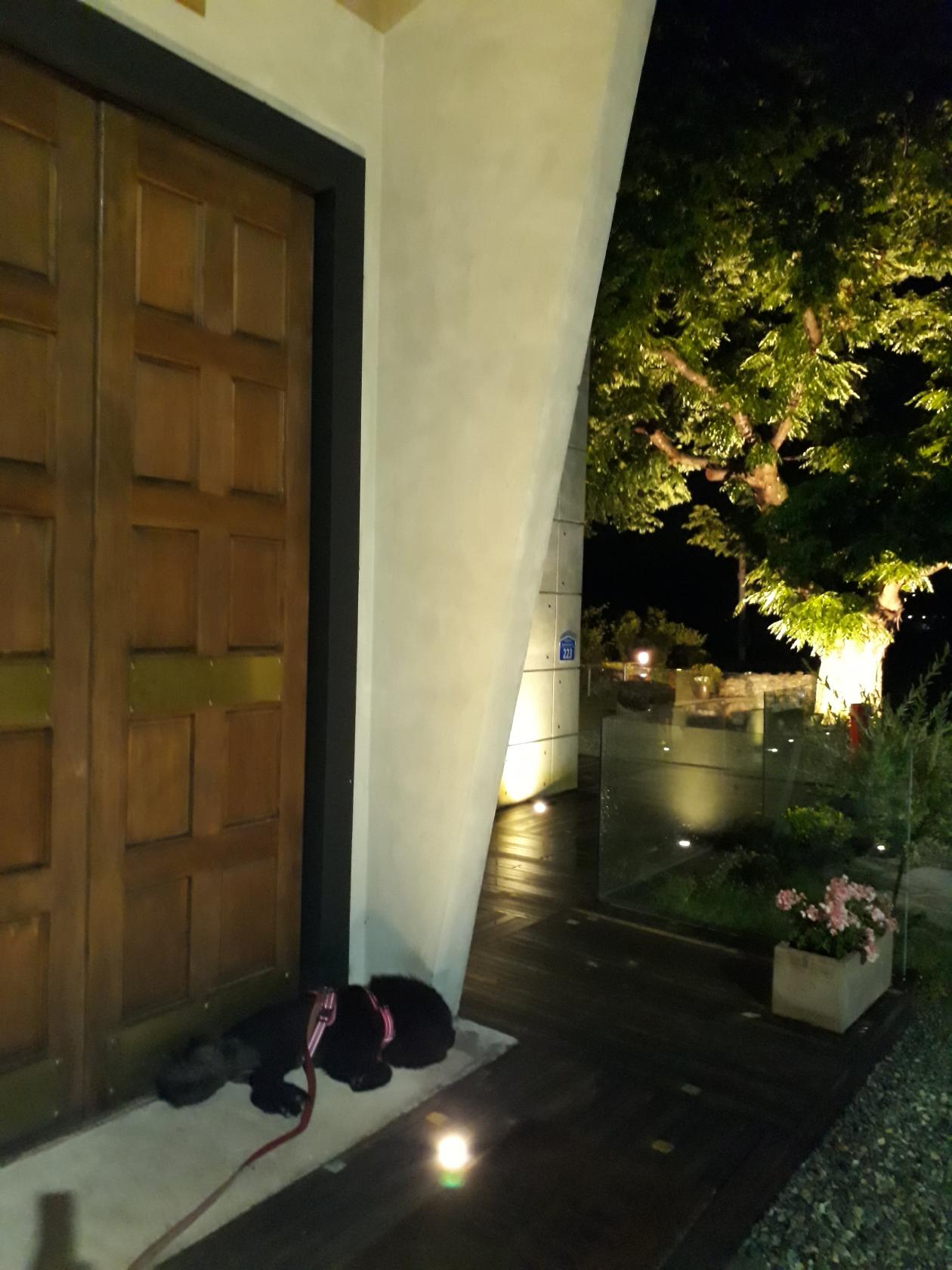Foursquare の写真