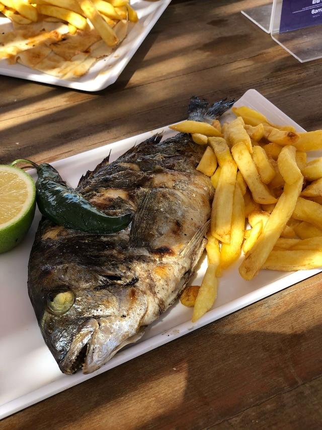 Foto de Zomato
