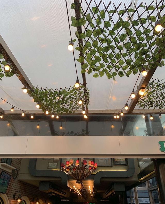 Foto de Zomato