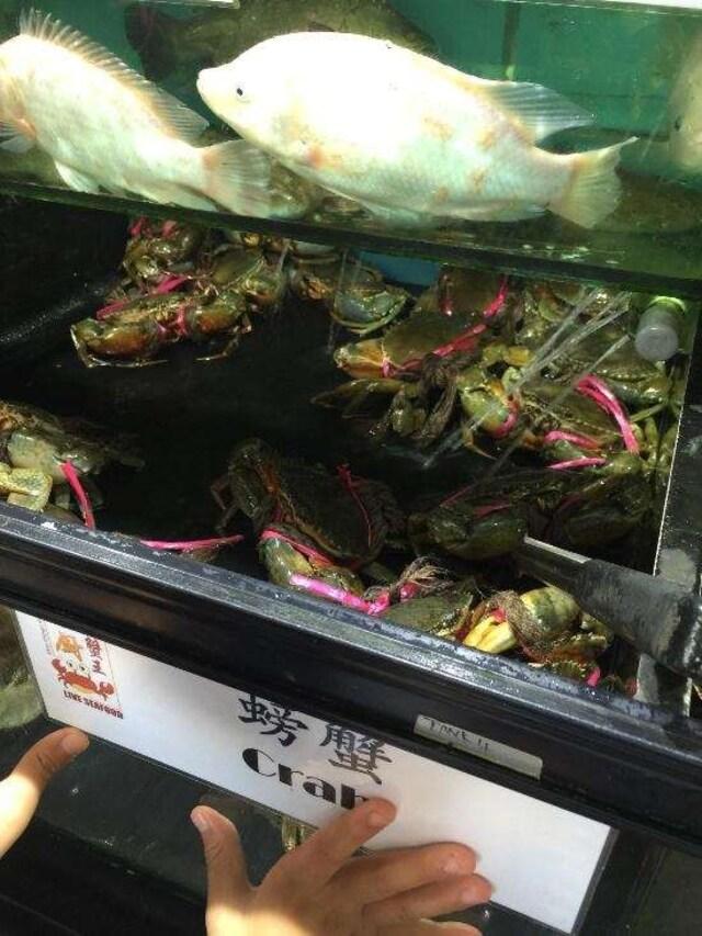 Zomato の写真
