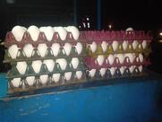 NPD,New punjabi dhaba