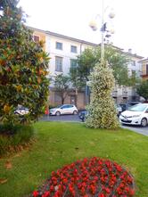 Panificio Fratelli Sanseverino Di Sanseverino Giorgio & C. (S.N.C.)