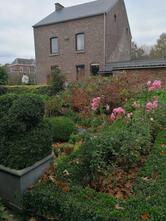 Escargots de la ferme du tilleul