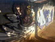 Guilherme Augusto Martineli