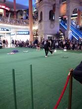 Bäckerei Leitner (PlusCity)