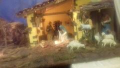 Trattoria Tarantola Di Tarantola Alessandro Sdf