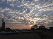 Coamo Agroindustrial Cooperativa