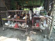 Ansari Chicken Center (RIYAZ ANSARI )