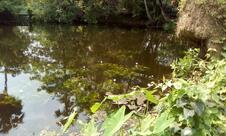 Manna Enterprise .LIC Premium Point