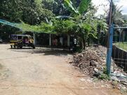 Mary Matha Fish World