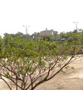 Shri Laxmi Yerrithatha Bakery