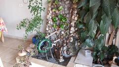 Lanchonete E Restaurante Primavera