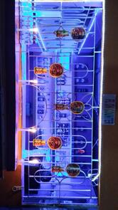 Sunshine Bar & Resturant