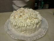 Palmieri S.N.C. Di Pacelli Danilo & C.