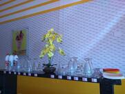 Paraíso dos Sorvetes