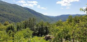 Gostilna Lavrenčič