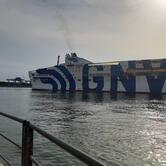 Taramaschi di Ferri Patrizia e Marco