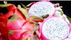 Satyam Juice and Fast Food Center